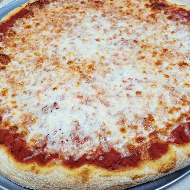 A plain cheese pizza